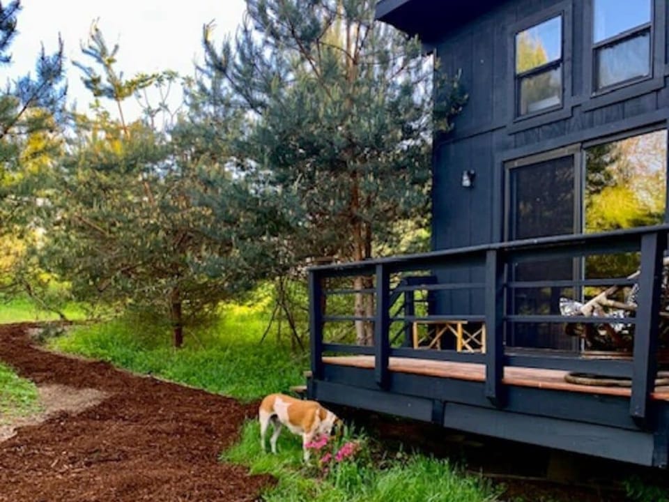 Front porch and pathway to the tiny home