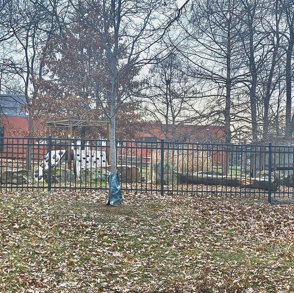 Dog Park