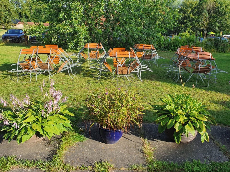 Garden [summer]