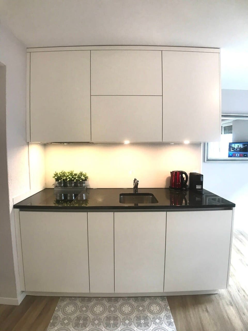 Fully equipped Kitchenette with marble top and induction stove.