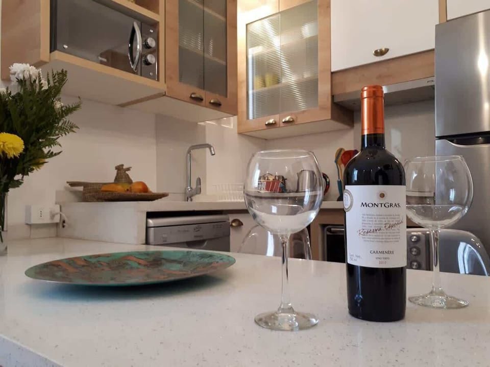 Chic and modern kitchen with a touch of elegance, perfect for enjoying a glass of wine and preparing gourmet meals.