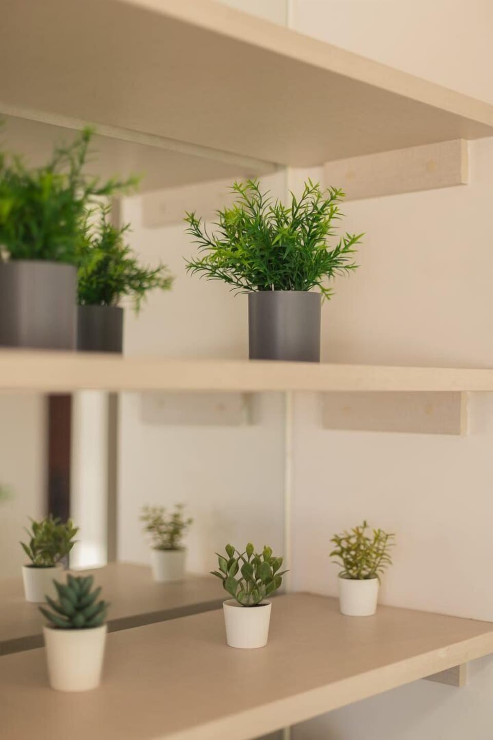 Charming shelf with greenery adds a touch of nature and elegance to your stay.