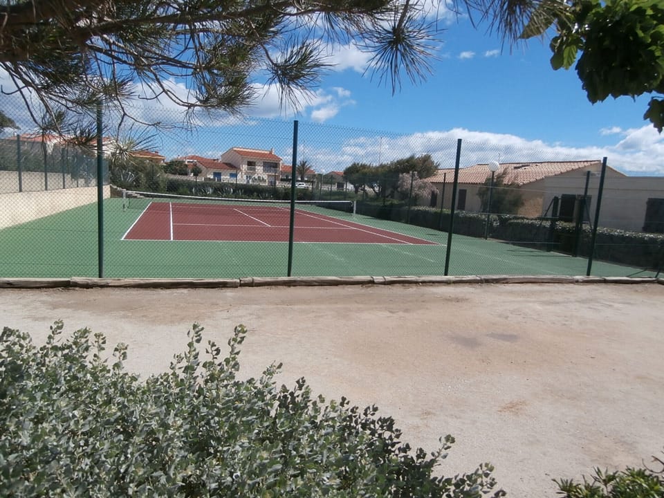 Sport court