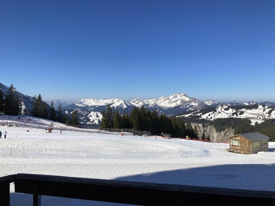 Snow and ski sports