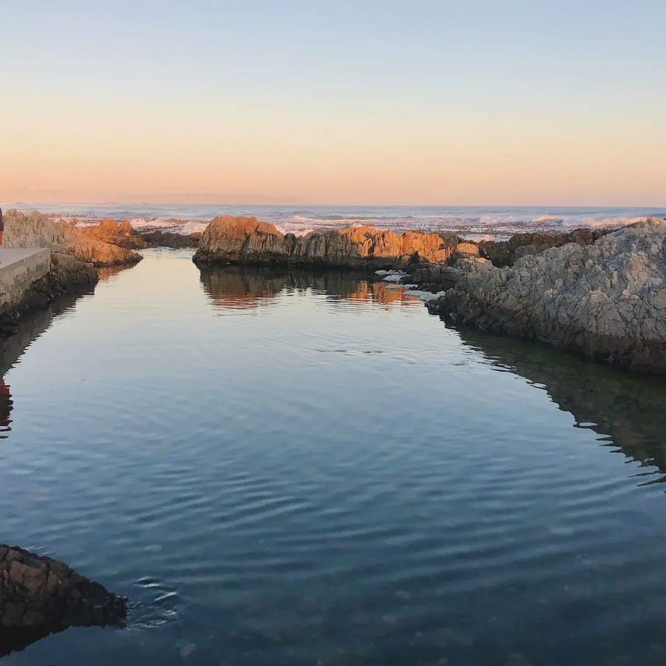 local attraction - tidal pool