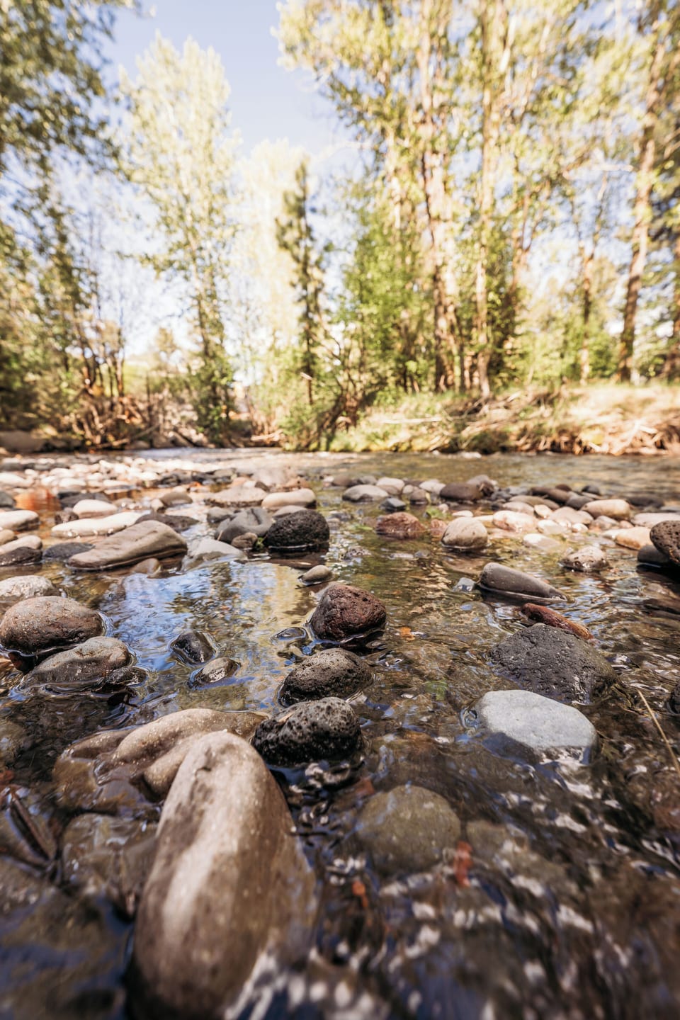 Just minutes from the cottage, Whychus Creek offers peaceful tranquility