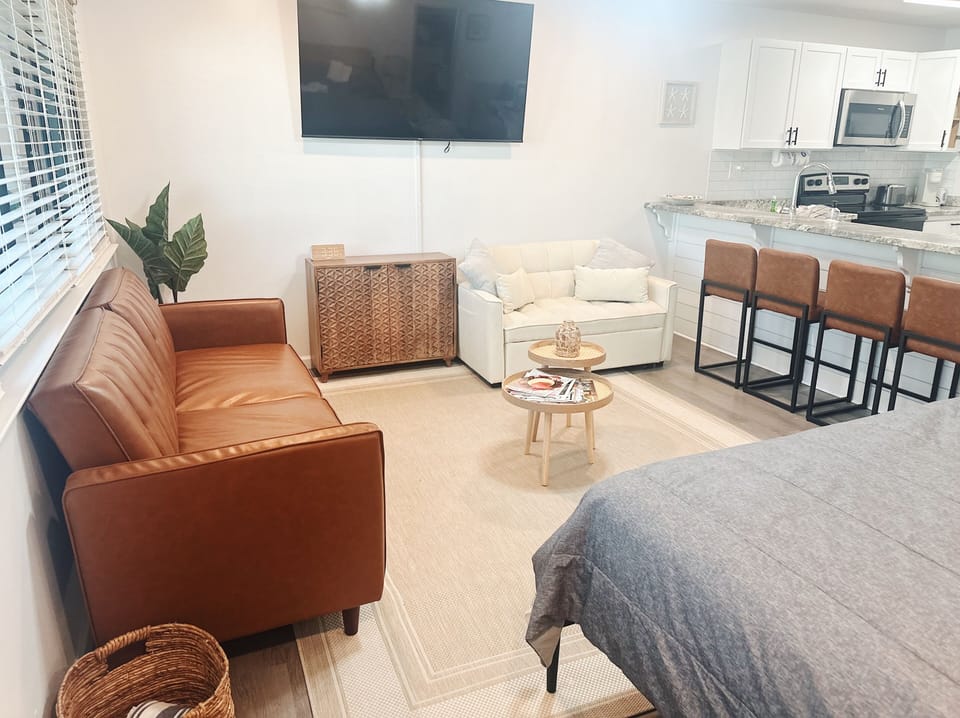 UPDATED FEBRUARY 2025: New leather larger futon couch bed! 