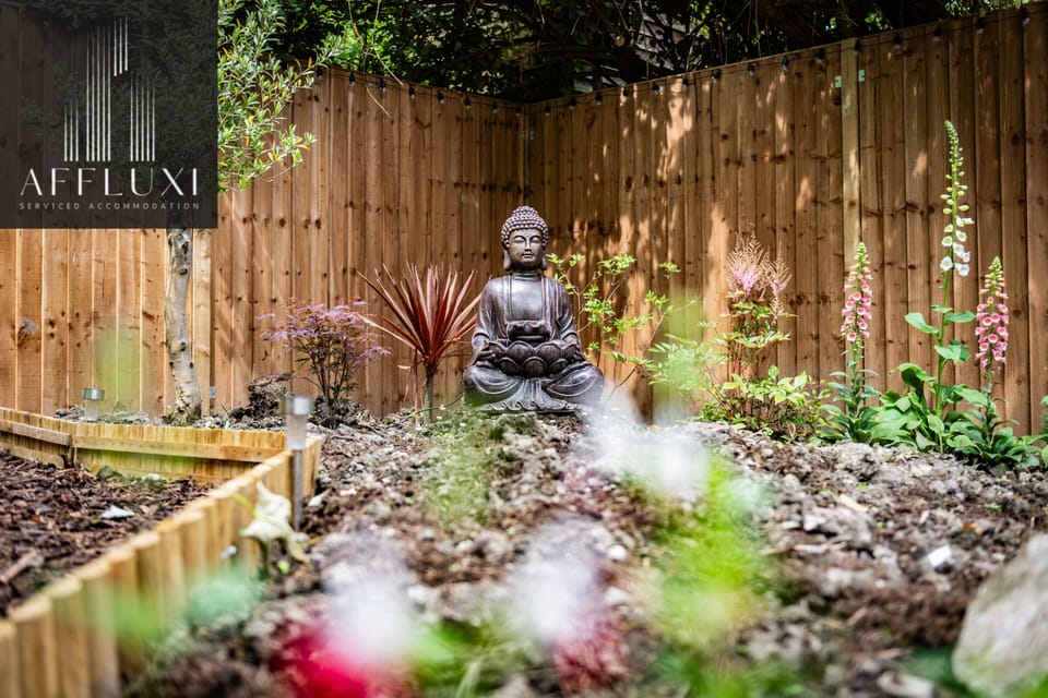 Back Garden