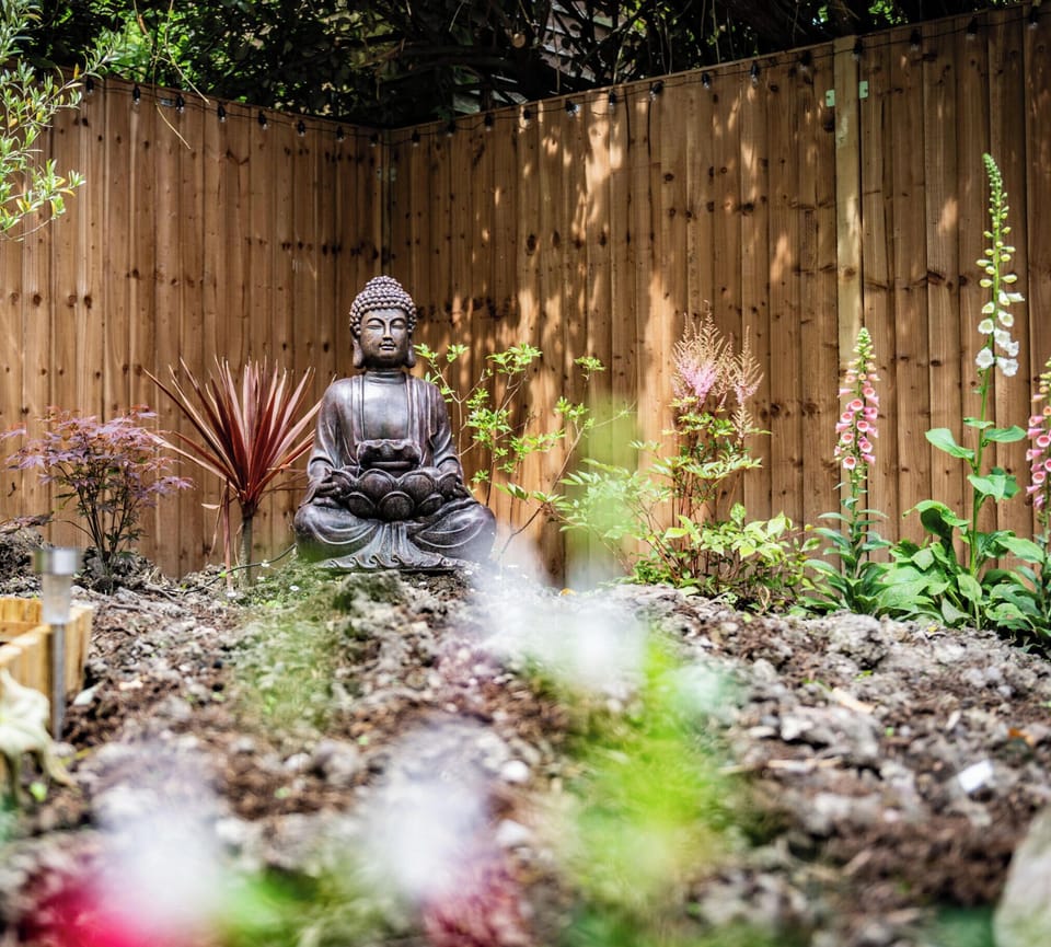 Back Garden