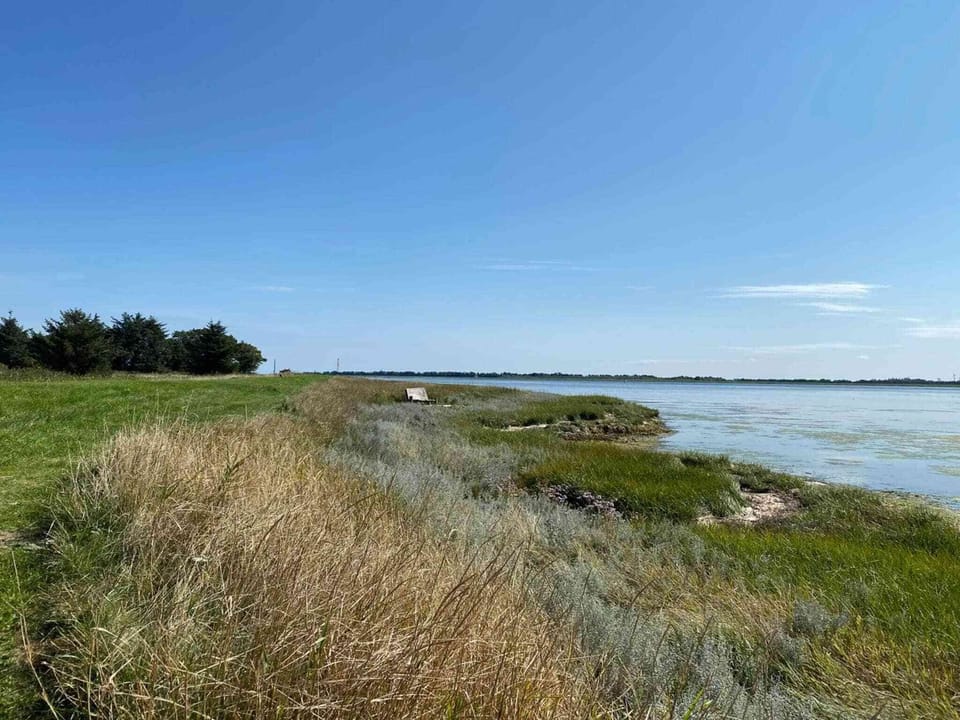 Water view