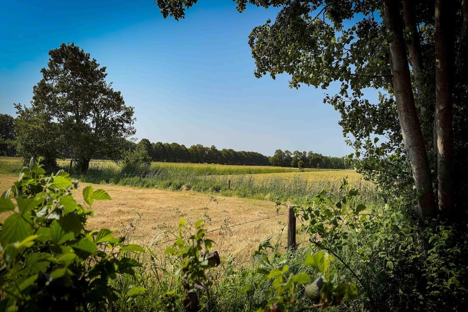 Surroundings [summer] (1-5 km)