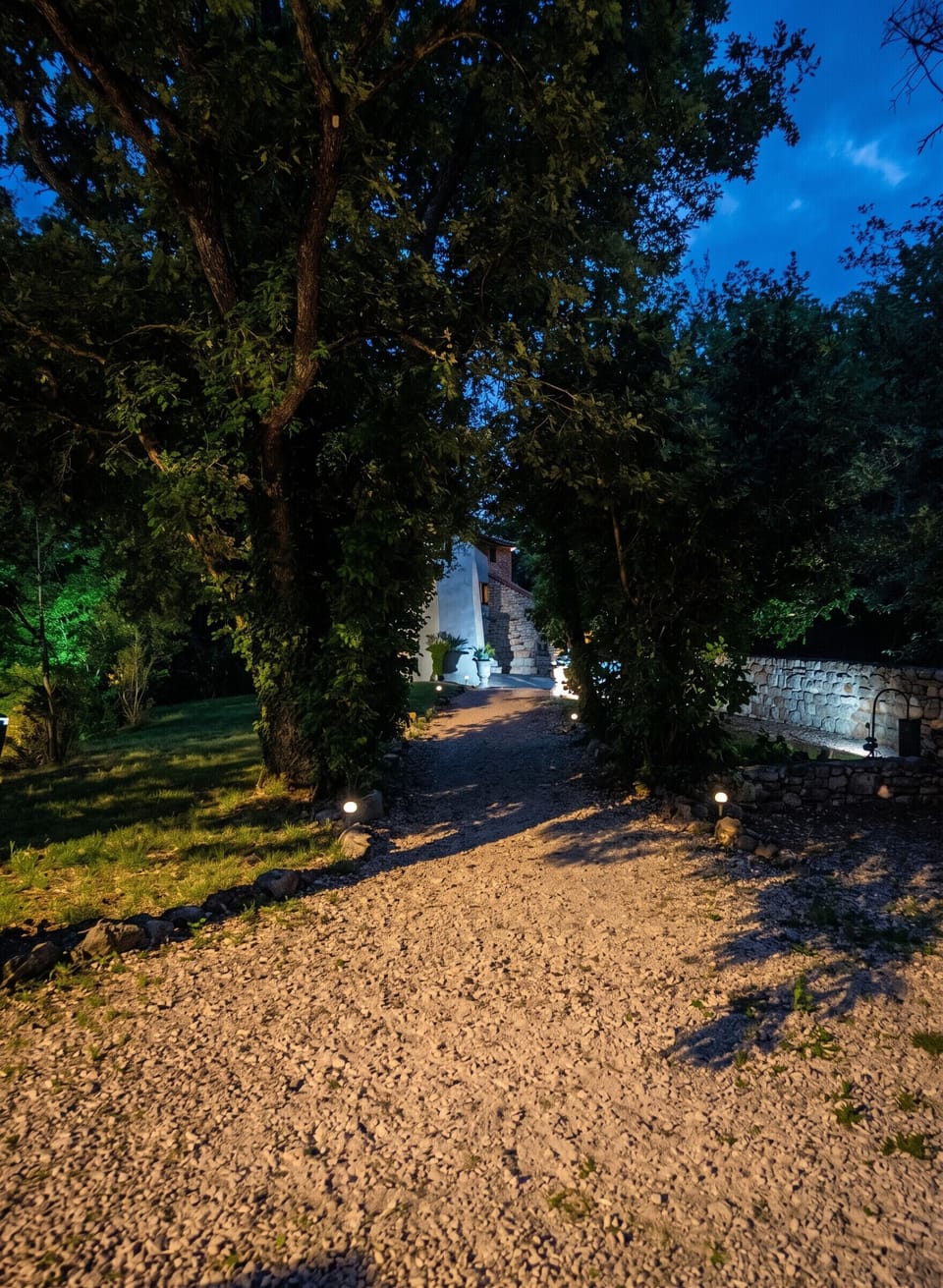 Garden view