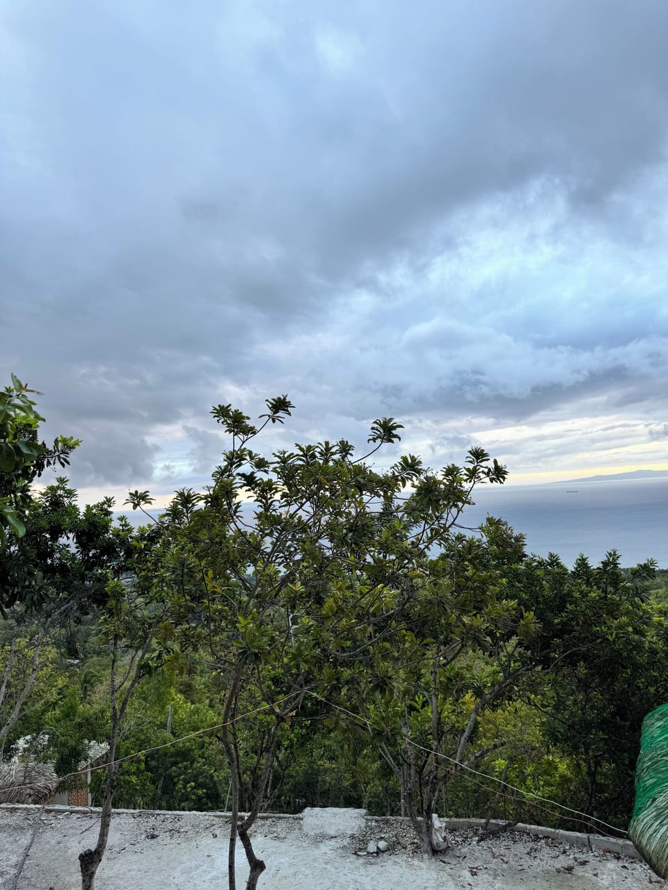 View from property
