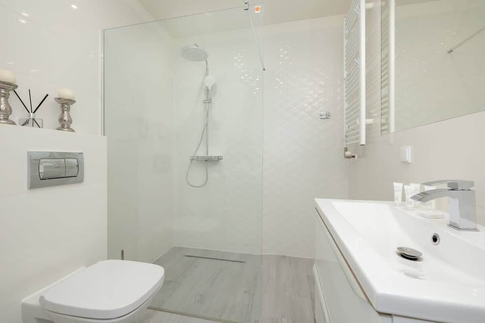 Bathroom with a walk-in shower and toilet.