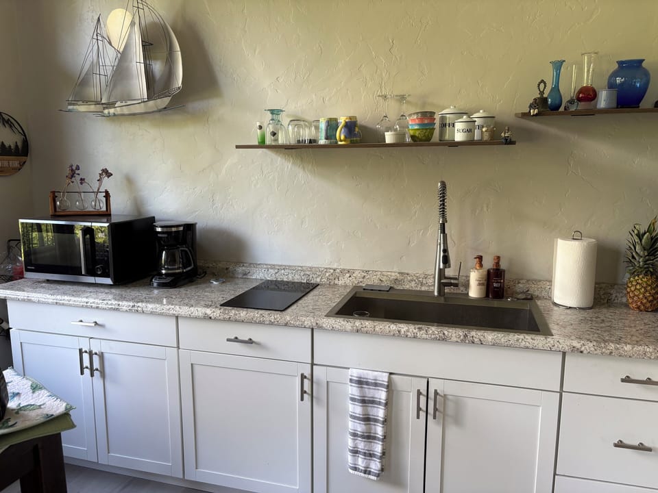 Kitchen; convention Microwave, electric range top, Blackstone grill on the deck
