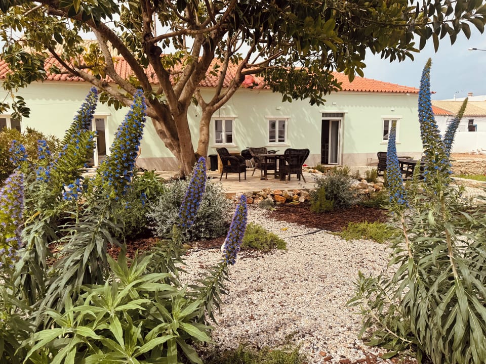Relax in green surroundings 