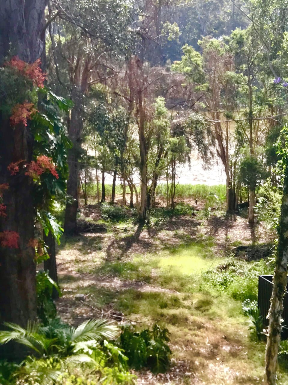 view of lake from back deck