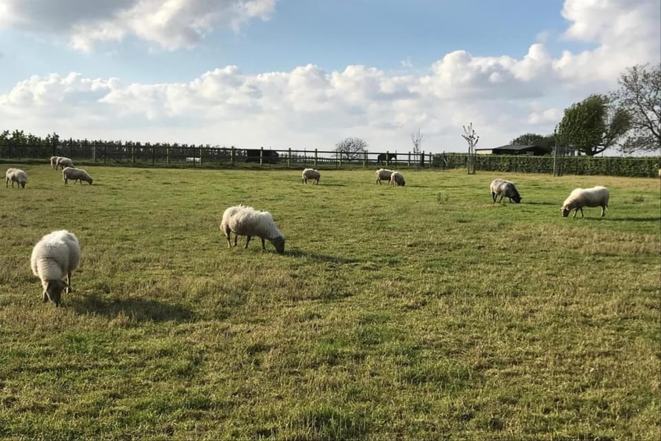 Region [summer] (>5 km)