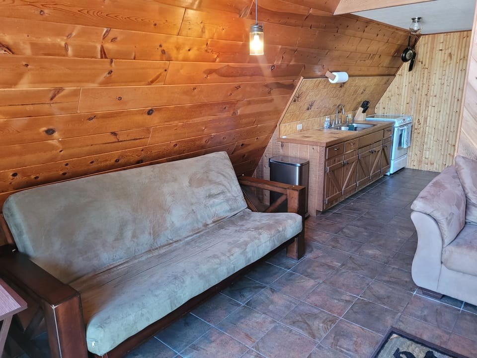 LIVING ROOM:  Features a sofa, futon, and a large television with cable television.