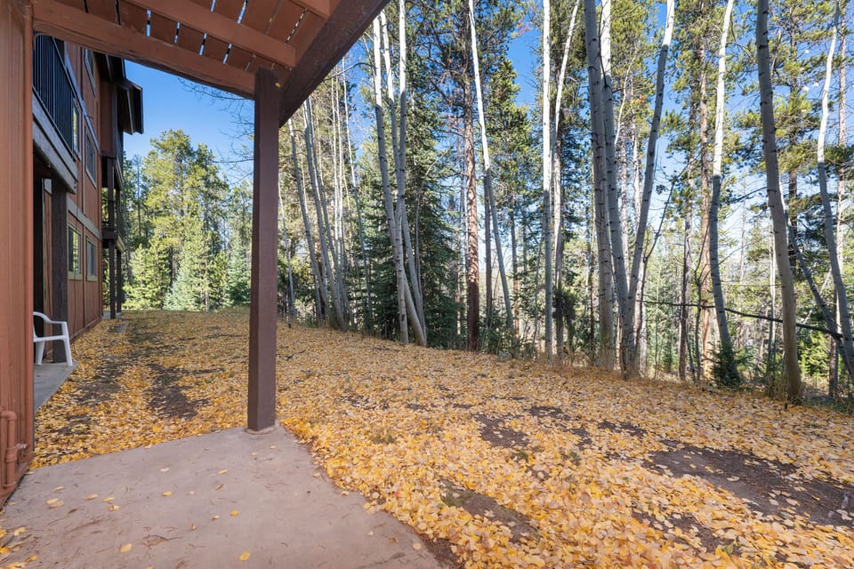 Stunning forest setting with towering aspen trees surrounding the property, showcasing natural autumn beauty.