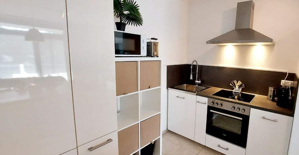 Wanderfalke - kitchen completely equipped for 2 pax