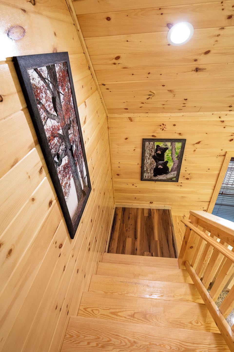 Cozy Cub Cabin's stairs going up