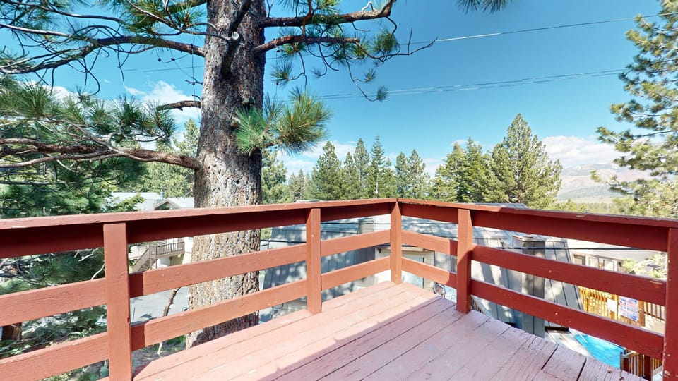 Nature, Outdoors, Scenery, Tree, Railing
