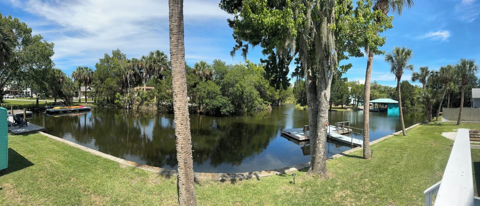 panoramic Picture of Our Back Yard 