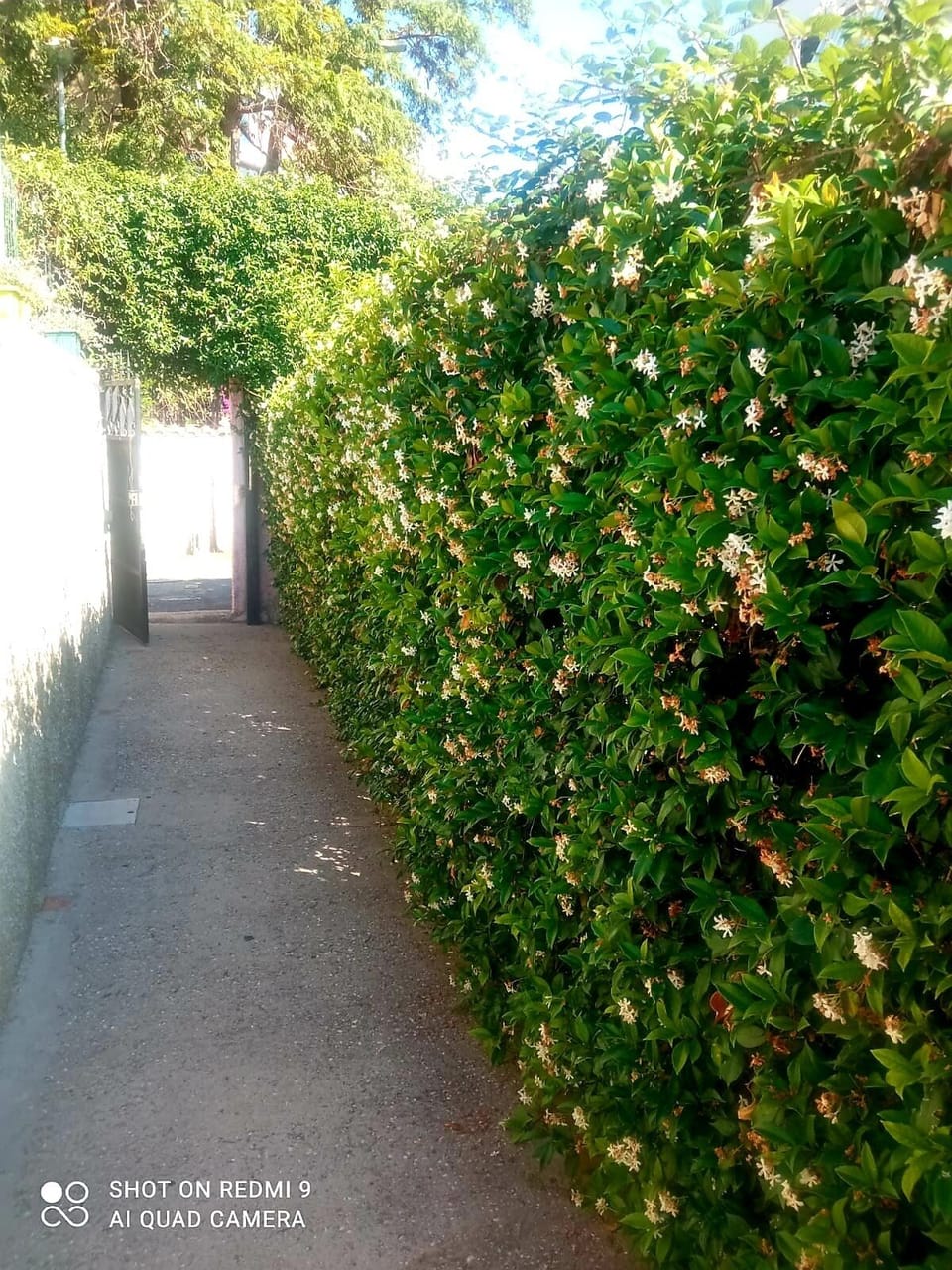 Property grounds