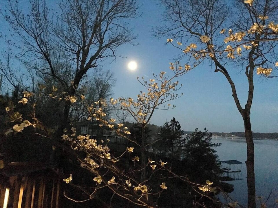 Full moon over the water