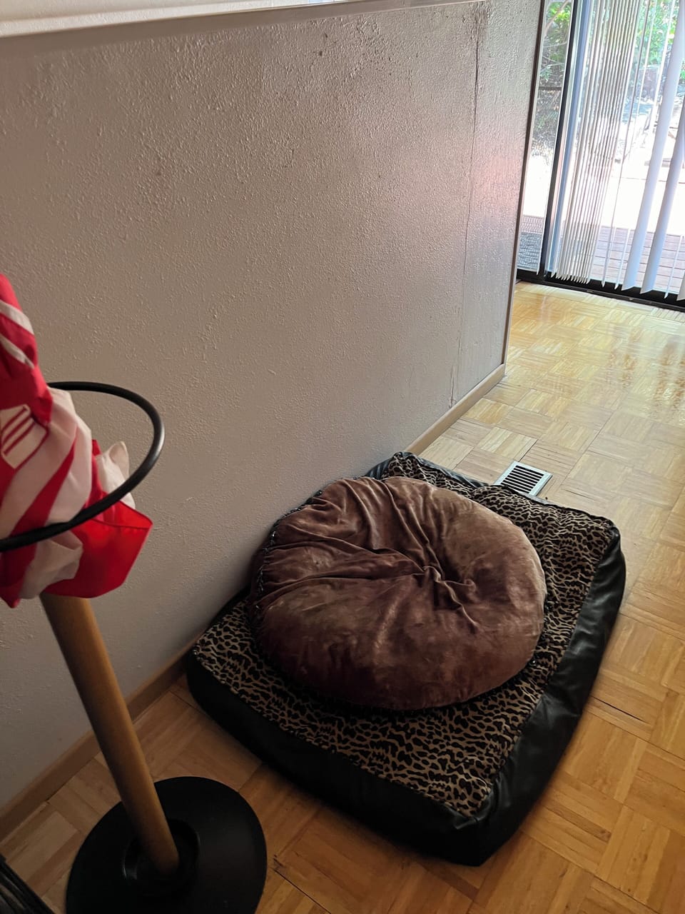 Two dog beds.