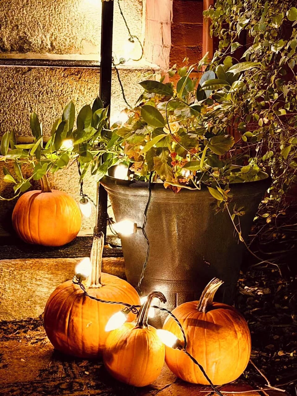 Halloween-themed decorations