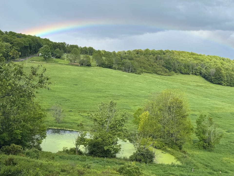 May Rainbow