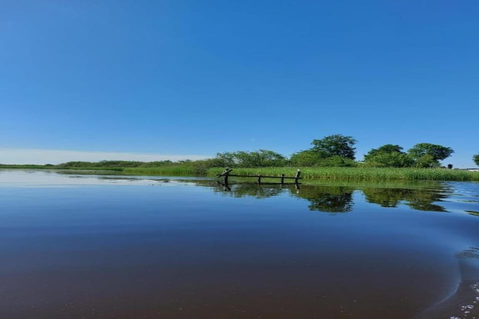 Region [summer] (>5 km)