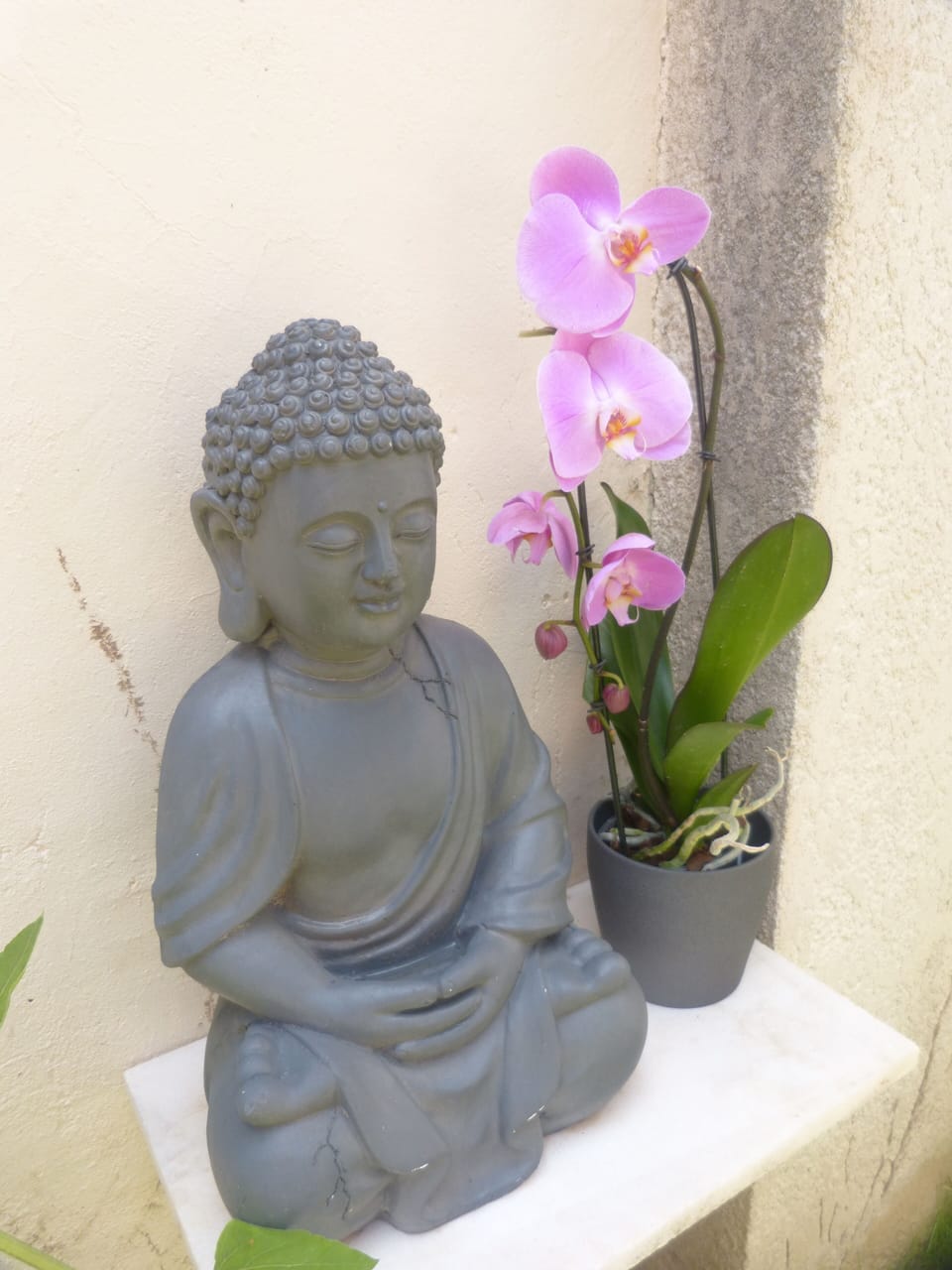 Buddha