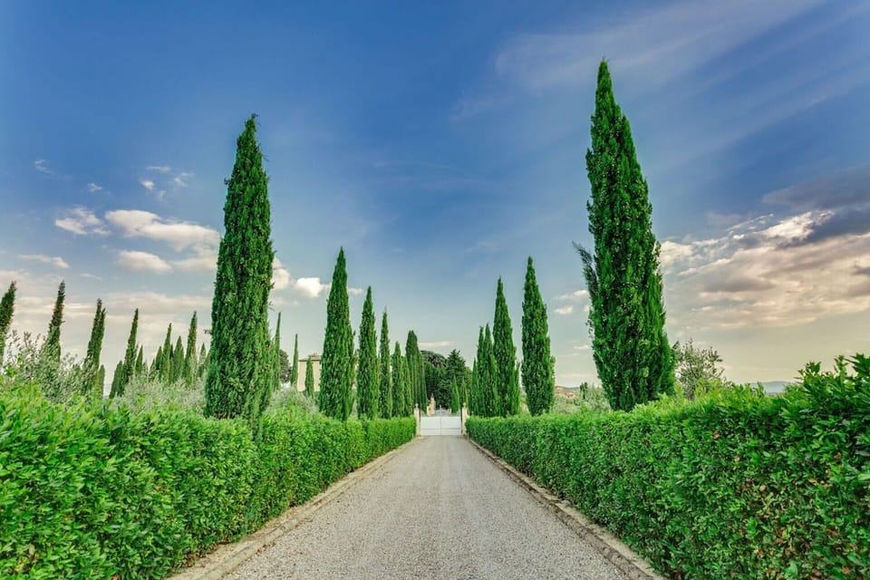 Wonderful garden of the splendid holiday villa for rent in Tavarnelle Val di Pesa.