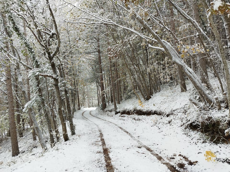 Snow and ski sports
