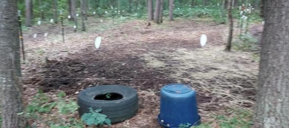 Horse pens