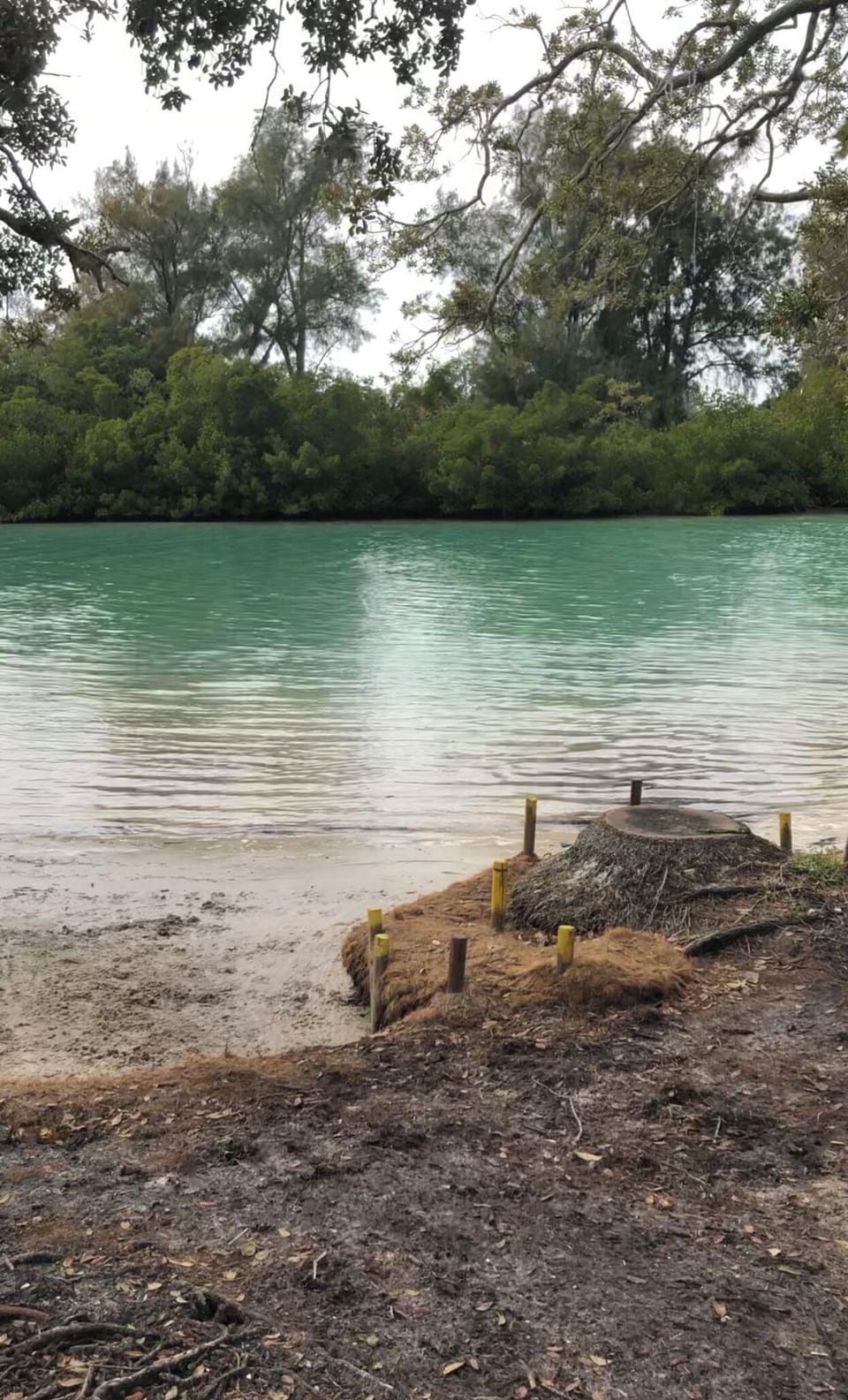 This quiet neighborhoods two private water access points. 