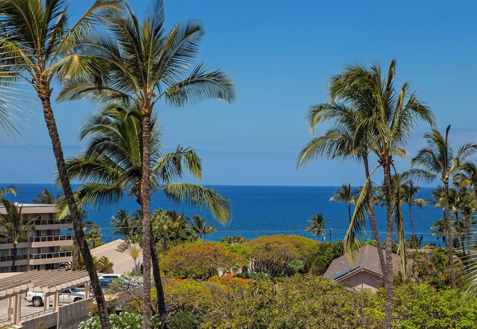 Tropical palms frame a stunning ocean vista with neighboring buildings and lush greenery completing the serene coastal setting.