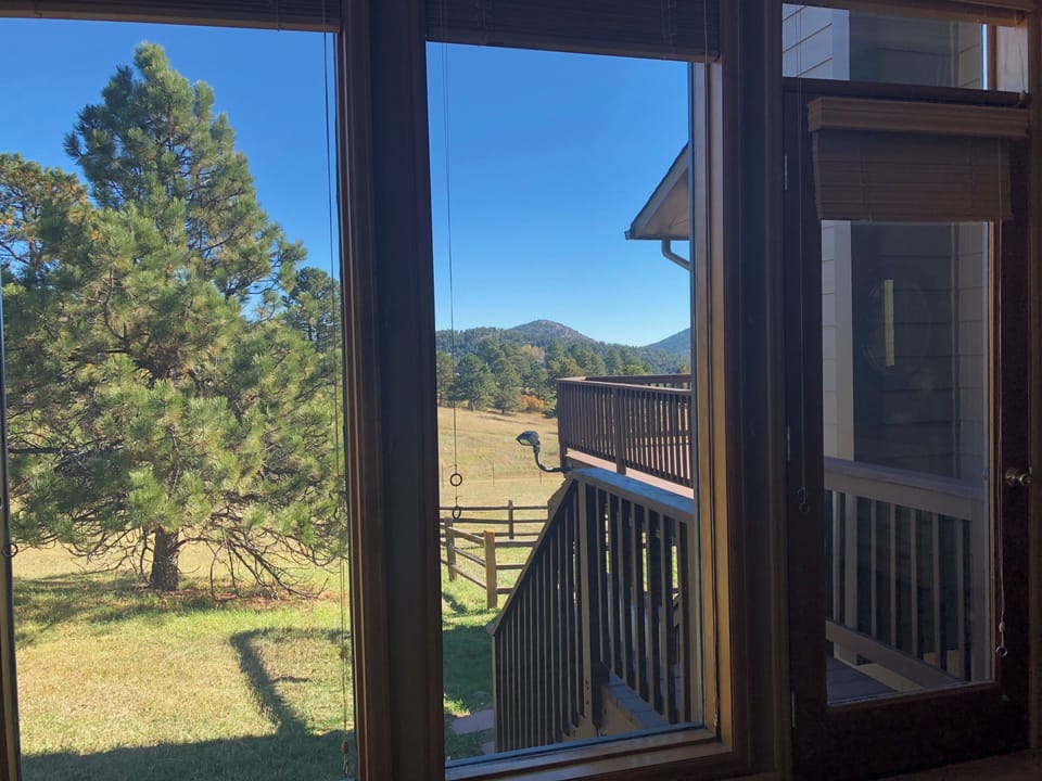 Views of back property from primary main level master!