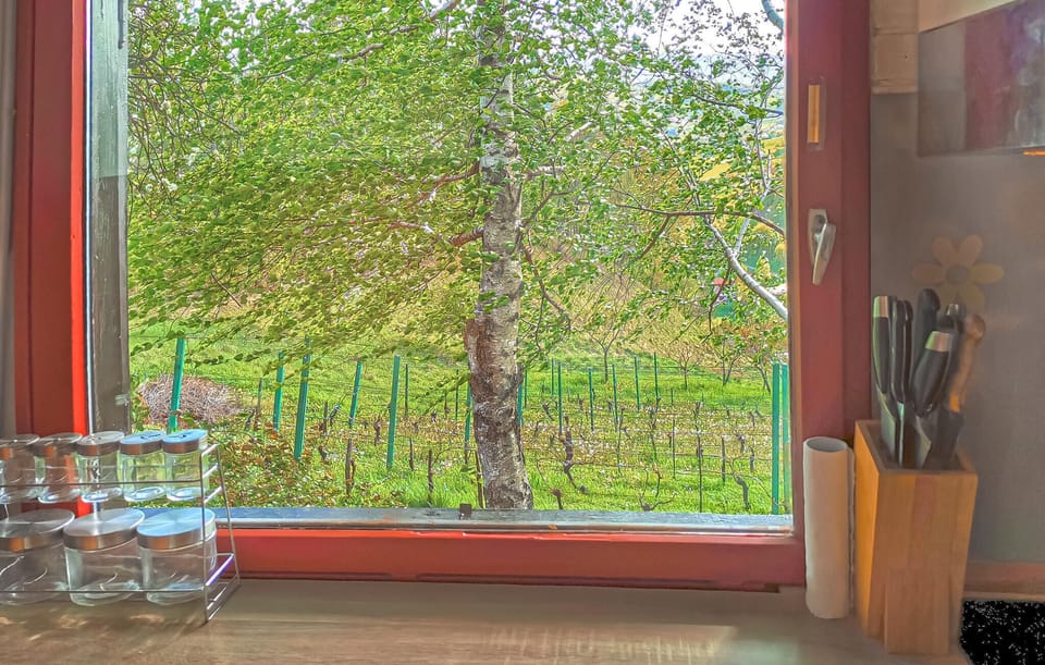 view-from-room
