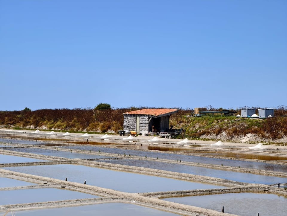 Traditional salt pans and a rustic salt worker's hut in Ars-en-Ré, where Île de Ré's famous fleur de sel has been harvested for centuries.