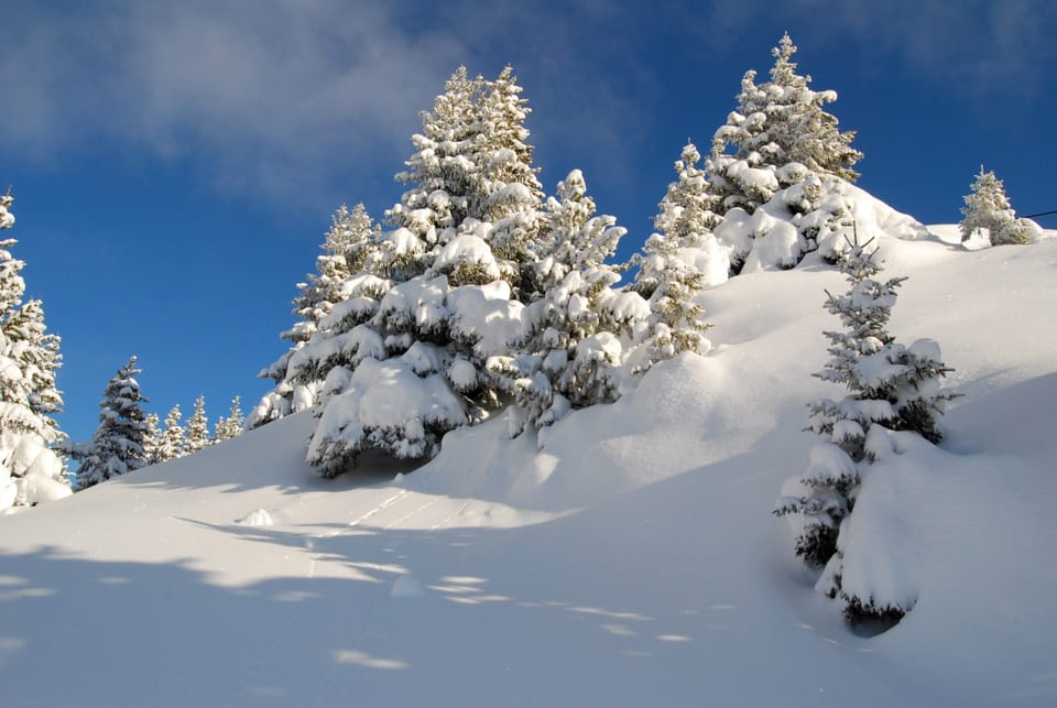 It’s time to start your next ski adventure!