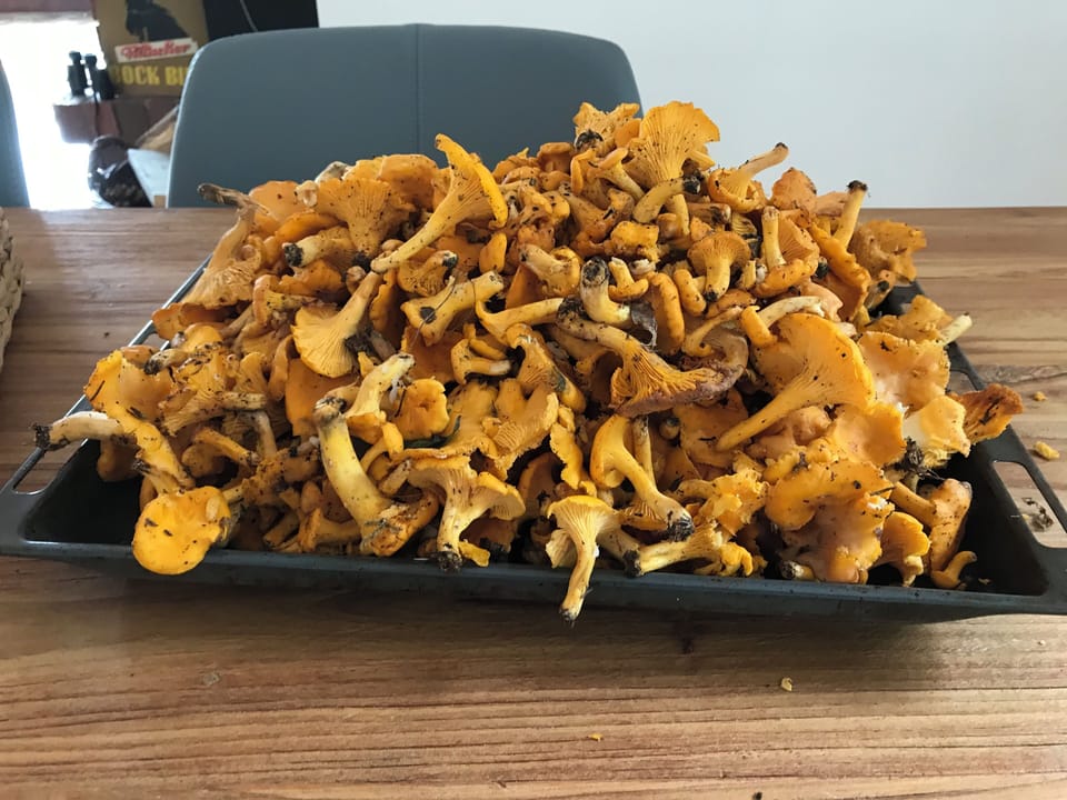 Food and drink