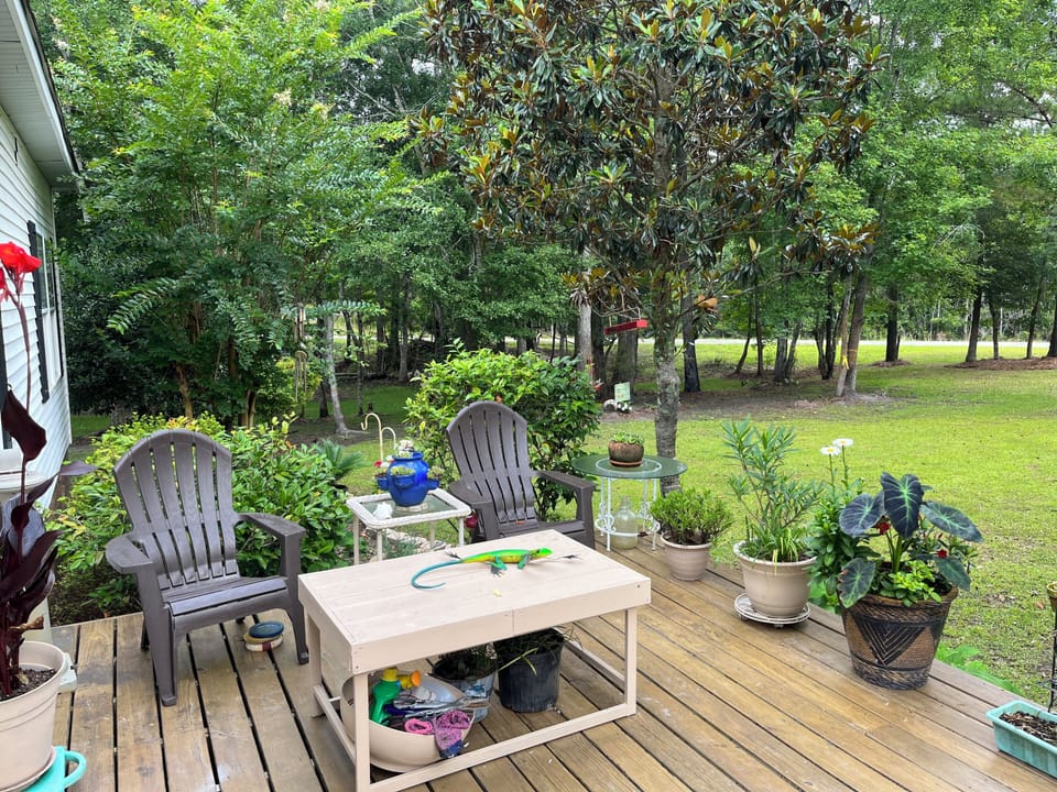 Terrace/patio
