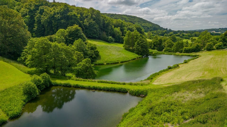 Scenic views make Lakeside Cottage an unforgettable spot
