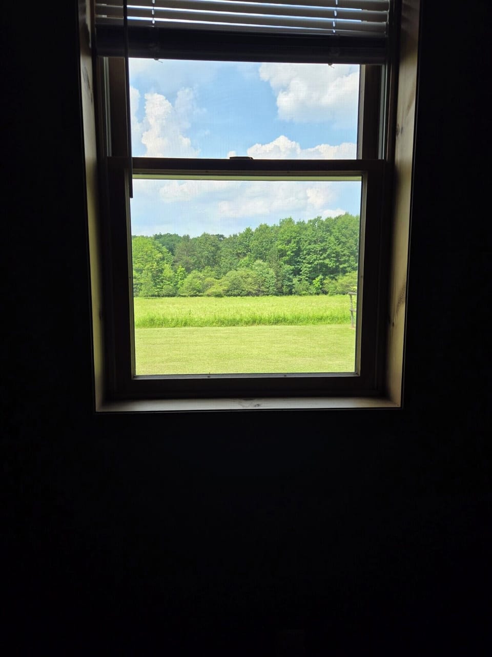 View from bedroom window