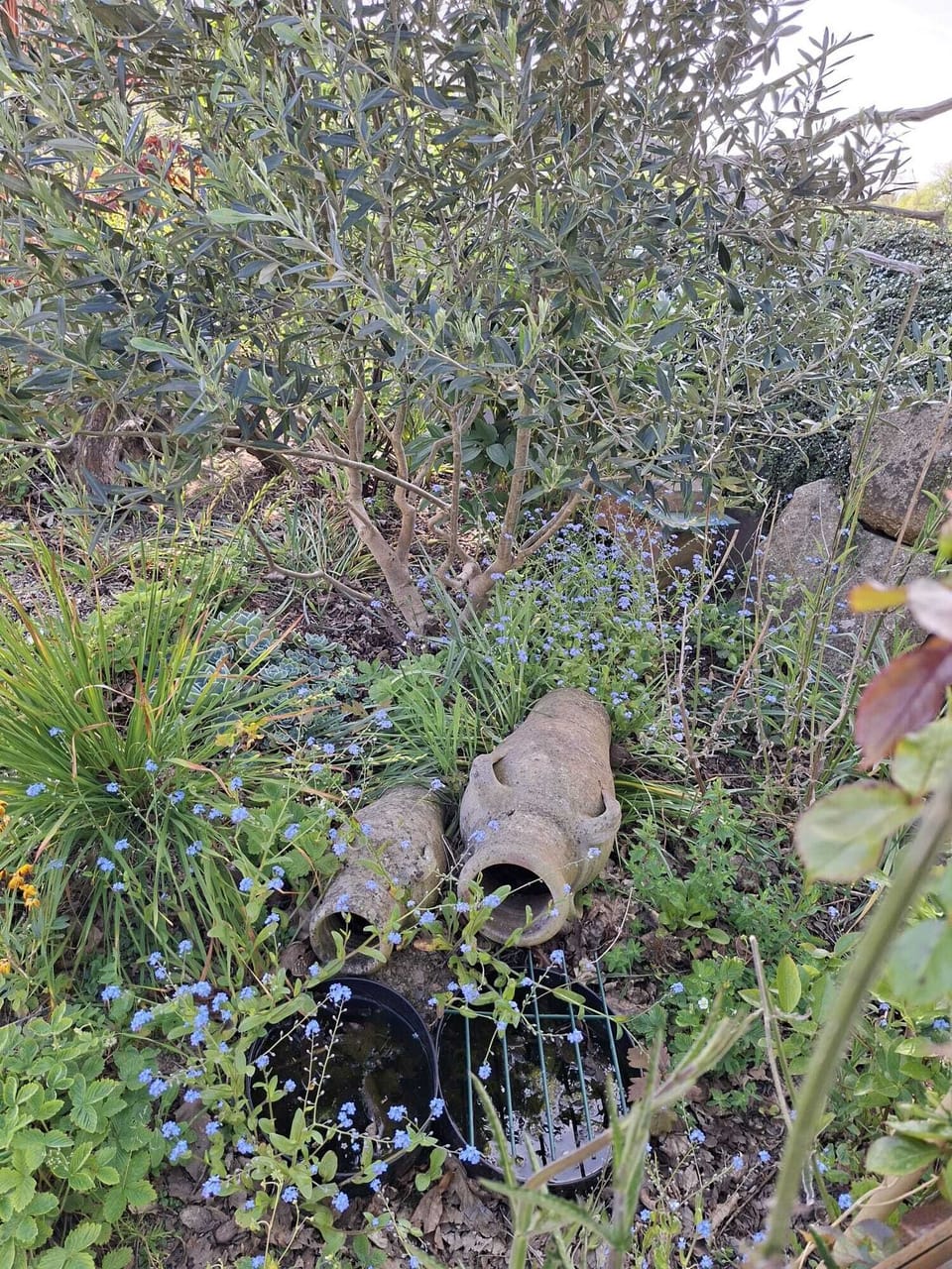 Miscellaneous