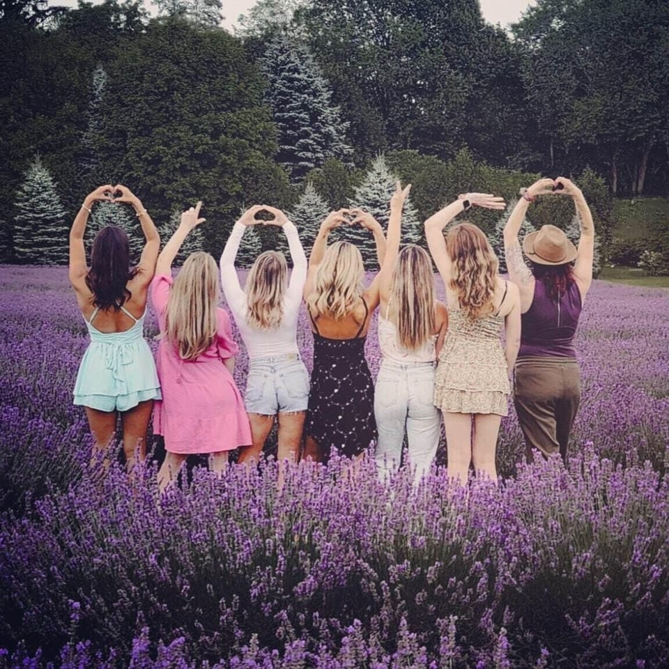 Have Fun in Lavender Season